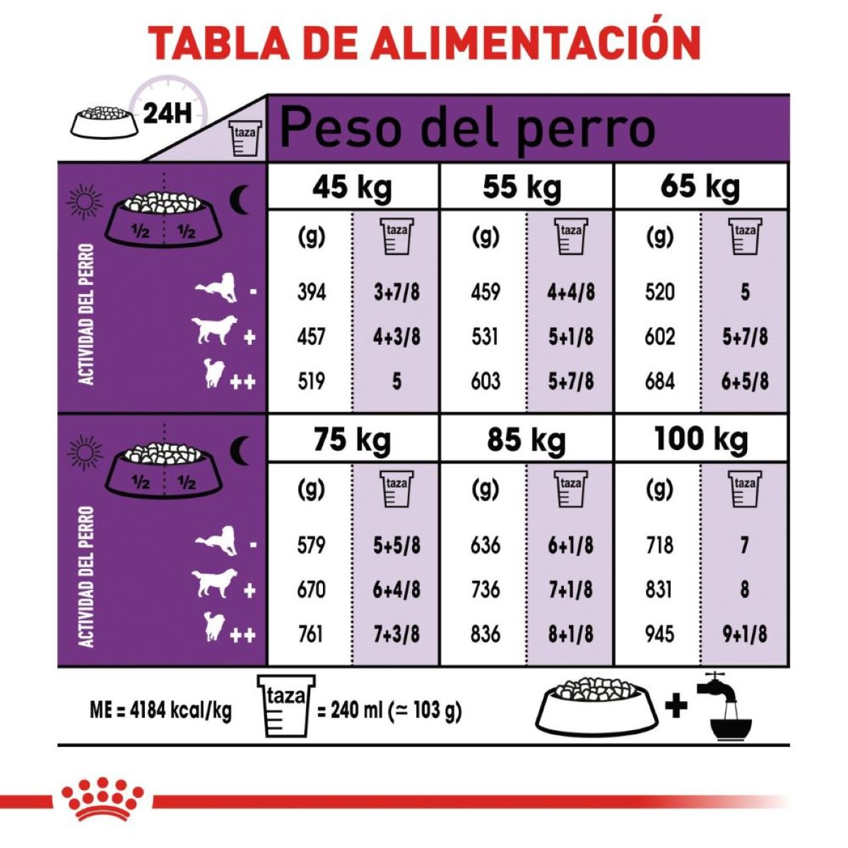 Royal Canin Giant Adult, Alimento para Perro, perro, Royal Canin, Mister Mascotas Royal Canin Giant Adult, Alimento para Perro, perro, Royal Canin, Mister Mascotas